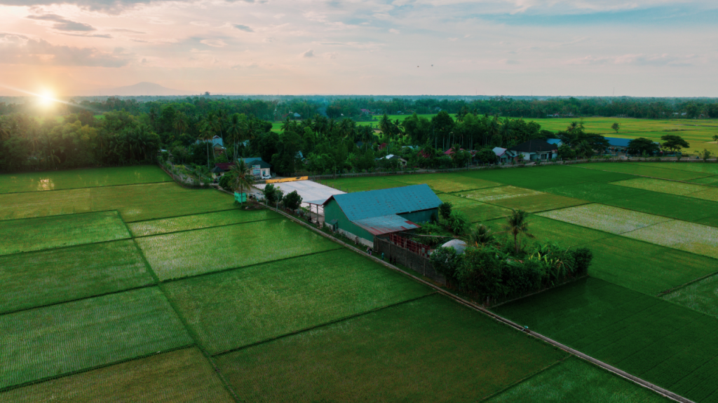 Gampong Meunasah Sagoe